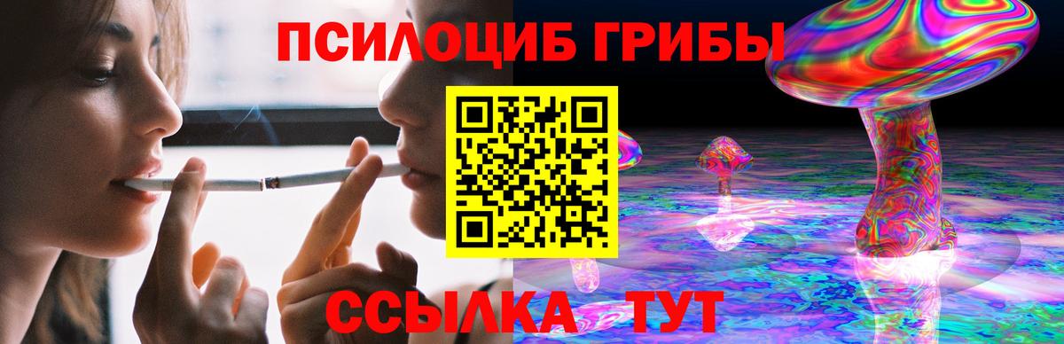 Верхняя Пышма  как найти закладки  Галлюциногенные грибы Psilocybe  Вход с VPN  Псилоцибиновые грибы Psilocybe 