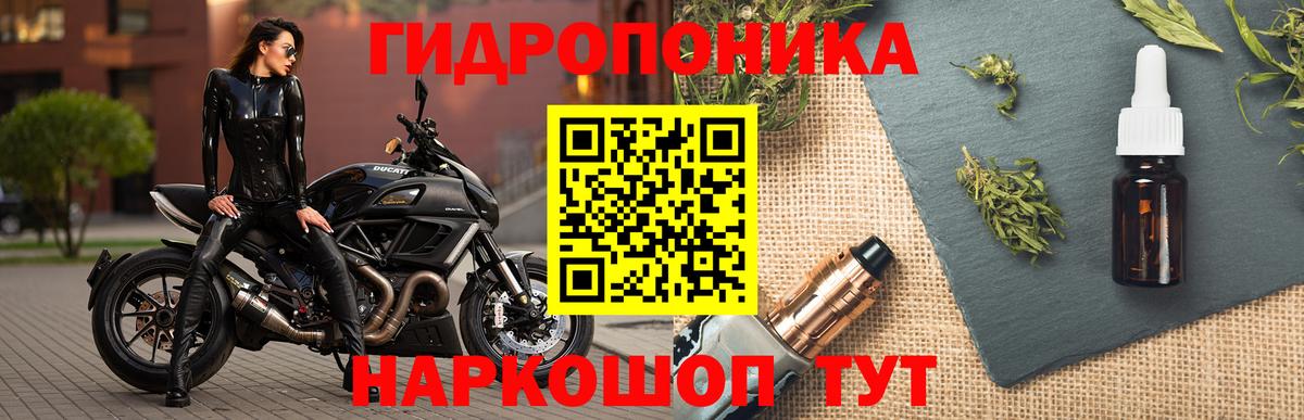 Шишки марихуана AK-47 Верхняя Пышма
